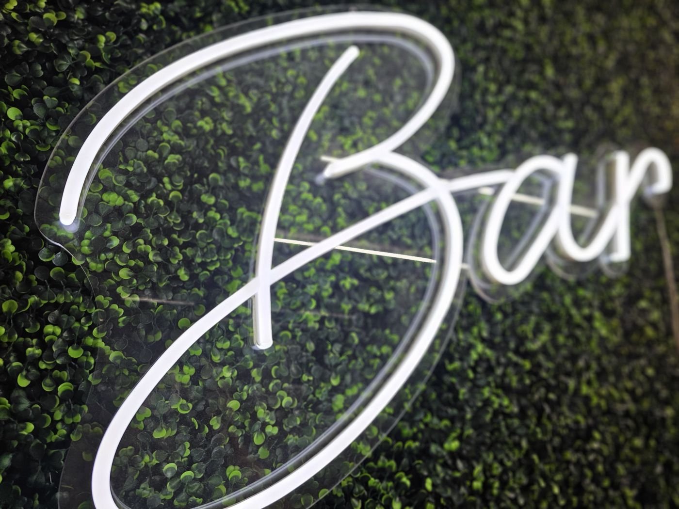 Bar script neon sign lit white on a greenery wall