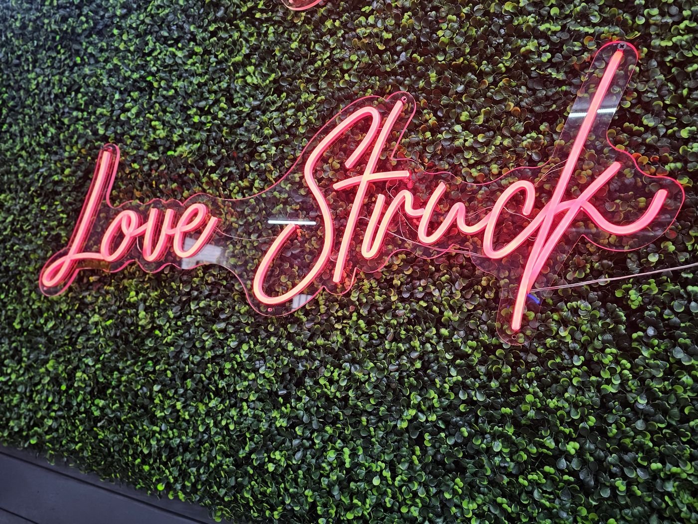 Love Struck script neon sign glowing pink on a greenery wall