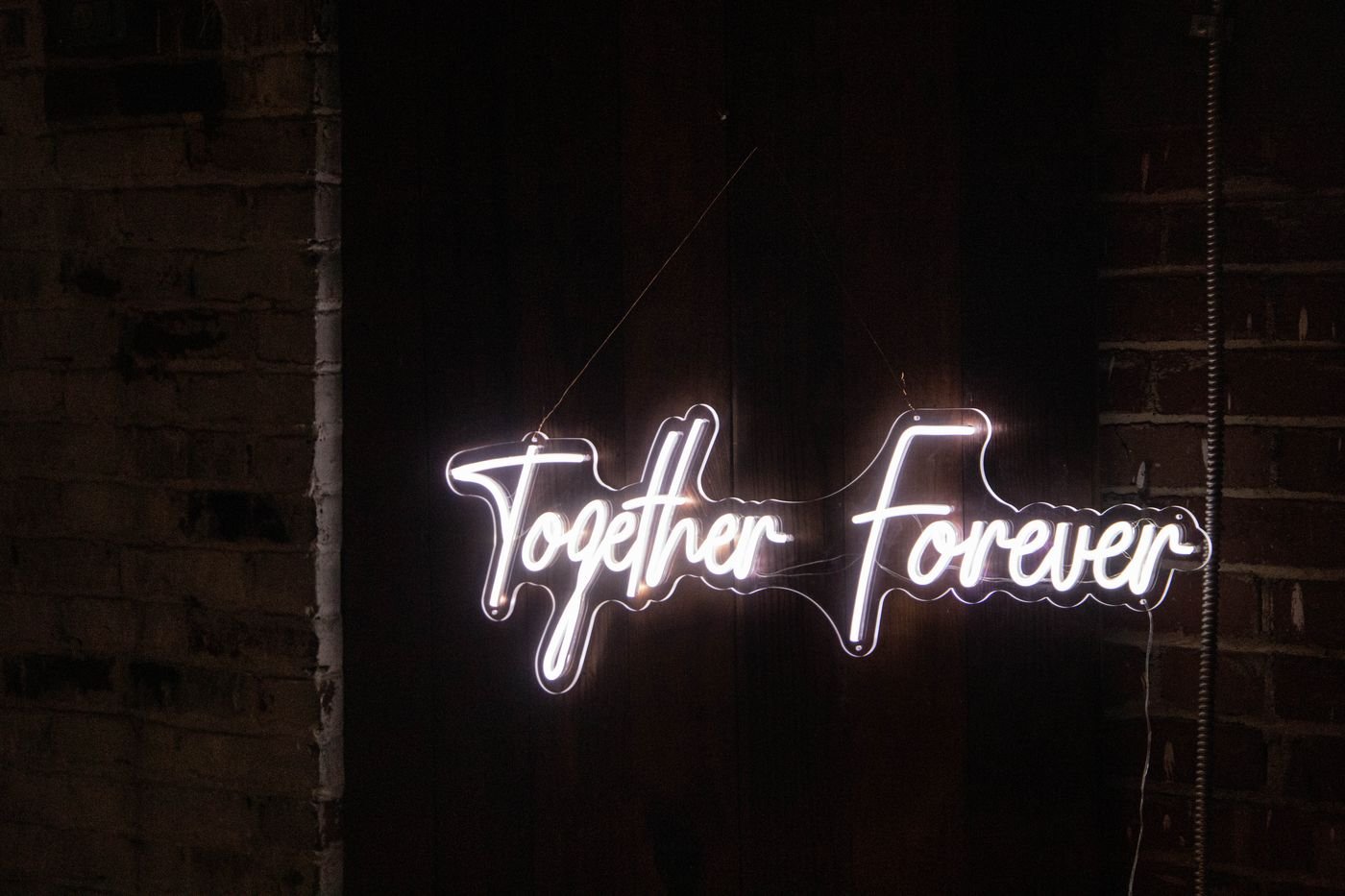 Together Forever script neon sign glowing white against a dark wood backdrop